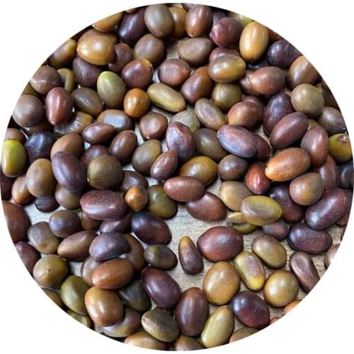 High Quality Chinese Honey Locust , Peony,Xanthoceras,Yellow Pear Pack in bag Not Rhinestone for Nail Art Decorate