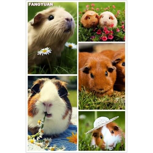 5D Diy Diamond Painting Accessories Cute Guinea Pig Full Drill Cross Stitch Kit Picture Diamond Embroidery Mosaic Home Decor