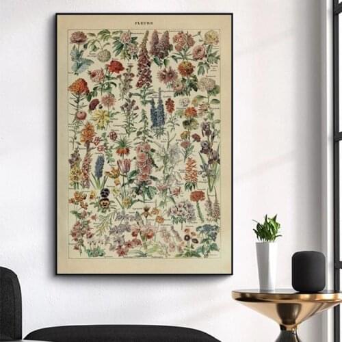 Vintage Adolphe Millot Encyclopedia Posters Prints Butterfly Flowers Insect Canvas Paintings Wall Art Picture Home Decor Cuadros