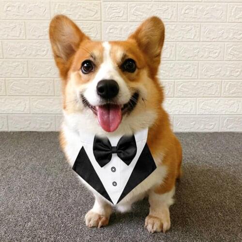 Pet Bow Tie Shape Saliva Towel Bib Triangular Neckerchief Cotton Scarf for Dogs Collar