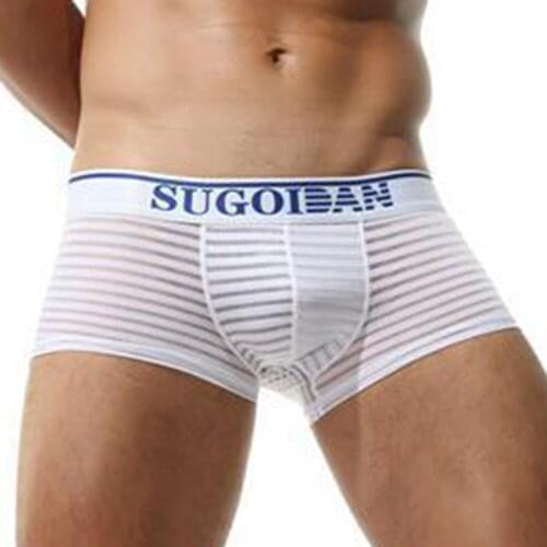 Underpants* Item Description:Men Sexy See-through Boxer Briefs Sheer Mesh Pouch Underwear Panties Lingerie