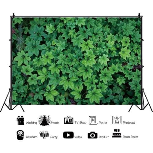 Wild Roadside Spring Green Plants Backdrops Photos Background Decorations for Portrait Photography Props Photocall