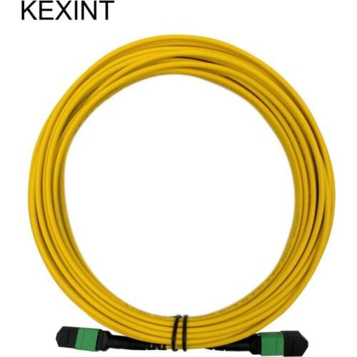 KEXINT Fiber Optic Patch Cord 24cores MTP-MTP Singmode Fiber Optic Patch cord
