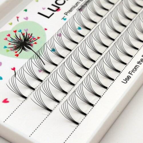 Charming 0.10 D curl Eyelashes2D 3D 4D 5D Wide Big Fans, Individual Eyelashes, Short Stem Eyelashes, False Mink Lash Extension