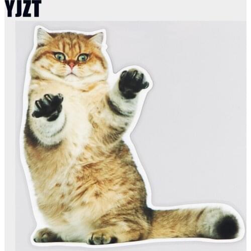 YJZT 17.5×17.3CM Naughty Standing Shorthair Cat Animal Car Stickers Decoration Accessories 21A-0573