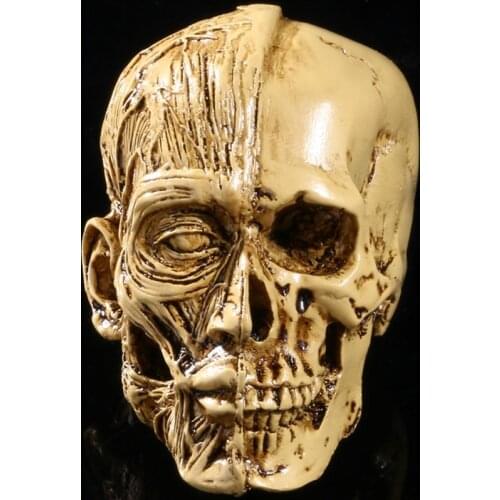 MRZOOT Resin Craft Art Painting Statues For Model Replica Decoration Skull Creative Sculpture Home Decoration Accessories