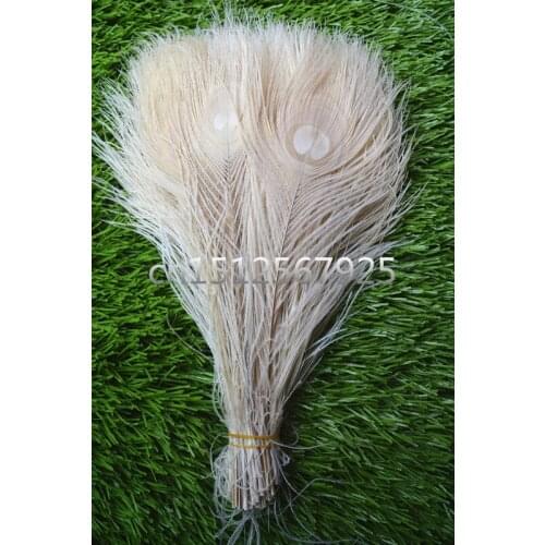 New! Free Shipping Sale 50 pcs / lot beautiful off white peacock tail feathers 10-12 inches Wedding, Party, Home