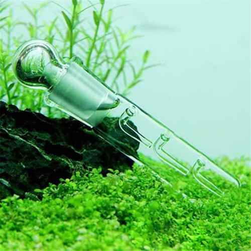 1PCS Glass Snail Leech Vivarium Pest Catch Trap Shrimp Worm Planaria Leech Catcher Aquarium