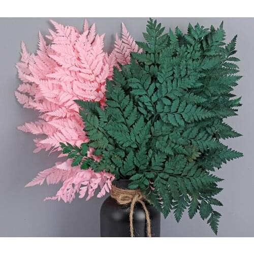10Pcs Dried Flower Leaf Preserved Fresh Flower Alpine Sheep Tooth Leaf Flower Material Home Decoration Flower Leaf Bouquet