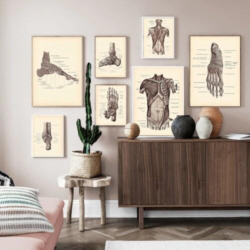 Head Skeleton Feet Body Anatomy Vintage Nordic Posters And Prints Wall Art Canvas Painting Wall Picture For Clinic Medical Decor