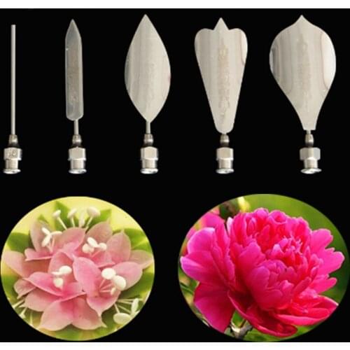 5PCS Flower 3D Jello Jelly Art Needles Tools Jelly Cake Gelatin Pudding Nozzles