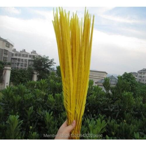 Sell 50pcs /lot Beautiful yellow pheasant feather 40-45 cm /16-18 inch DIY handwork ornaments feather