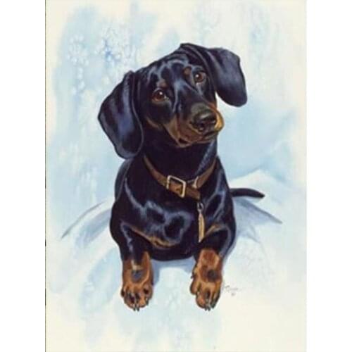3D Full Diamond 5D DIY Diamond Painting "Dog Dachshund" Embroidery Cross Stitch Kits Rhinestone Mosaic Painting Home Decor GH201