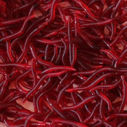 500pcs 35mm 0.2g lure bait sea fishing shrimp scent bionic red worm