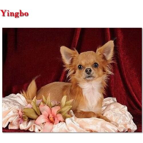 Chihuahua dog,Animal,Diamond Embroidery,Diamond Painting,Cross Stitch,5D,square,round,Rhinestone,Mosaic,Wall,Kits,Home,Decor