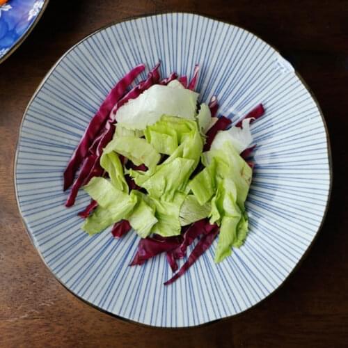 Ceramic Serving Plate Home Color Creative Japanese Dumpling Plate 8 Inch Breakfast Snack Salad Sushi Fruit Plate