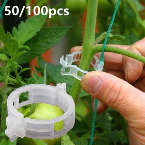 50/100 Pcs Plastic Plant Support Clips Reusable Plant Clips Protection Grafting Fixing Tool Gardening Supplies for Tomatoes