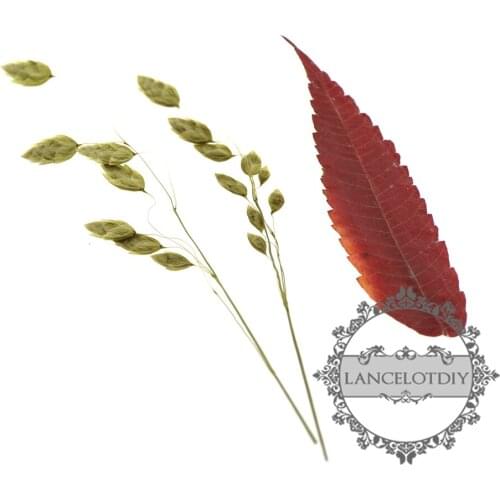DIY dry pressed flower leaf for pendant charm jewelry 12pcs each pack 1503183