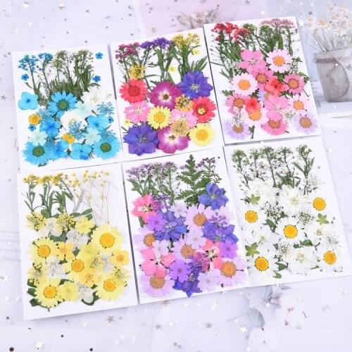 Small Dried Flowers Embossing material Bag Scrapbooking Dry DIY Preserved Flower Decoration for Home Mini manual material