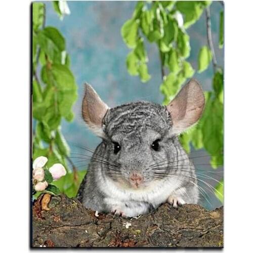 5d Diy Diamond Painting Chinchilla lanigera Molina Handcraft Diamond Embroidery Diamond Mosaic Resin Round Square Drill L435