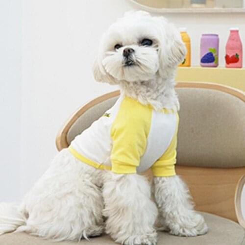 Summer Pet Sweatershirt Fruit Pattern Printing Color Block Cotton Round Neck Dog Blouse Pullover одежда для собак