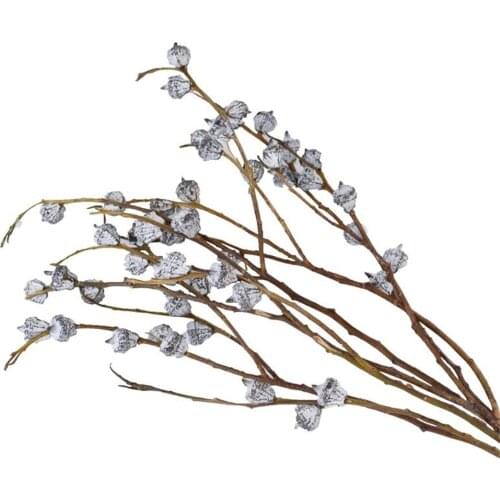 Dried real flowers home decor 6 stems natural real eucalyptus globulus fruit flower bunch