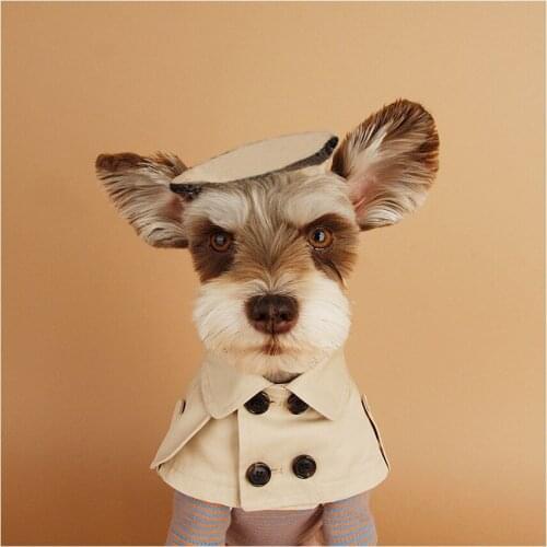 Dog Collar Beige Pet Bandana Scarf British Style Cloak trench coat Cat Collars for Small Dog Puppy Bandage Bib Accessories