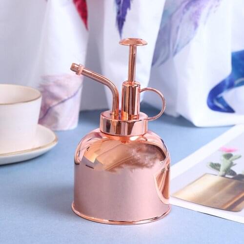 Watering Spray Bottle Stainless Steel Misting Can Garden Plant Tool Sprink Pot Watering Bottle Garden Tool Supplies 1 Pc