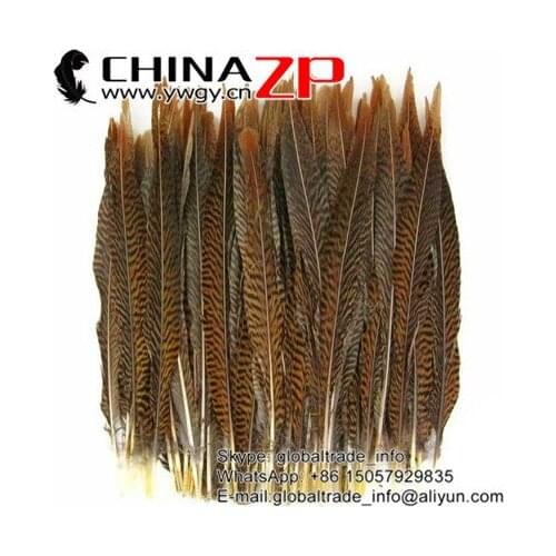 CHINAZP Feathers Prime Quality 35~40cm(14~16inch) Natural Golden Pheasant Center Tail Feather For Brazil Carnival Costumes