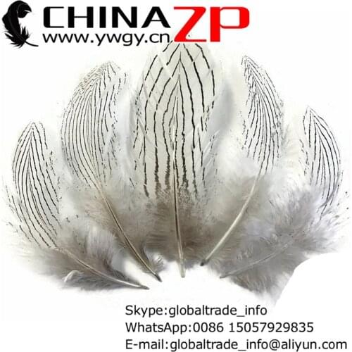CHINAZP Wholesale 1000pcs/lot 10~15cm(4~6inch) Length Top Quality Natural White Silver Pheasant Plume Feathers for DIY Craft