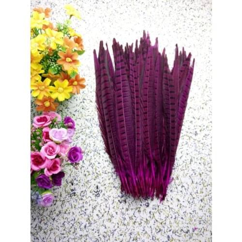 Wholesale perfect 100pcs high quality natural Male Pheasant feathers 14-16inch/35-40cm Decorative diy rose