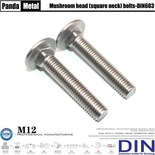THE)304/316 stainless steel carriage bolt DIN603 mushroom head square neck bolt,frame semicircular head screw A2A4 diameter M12