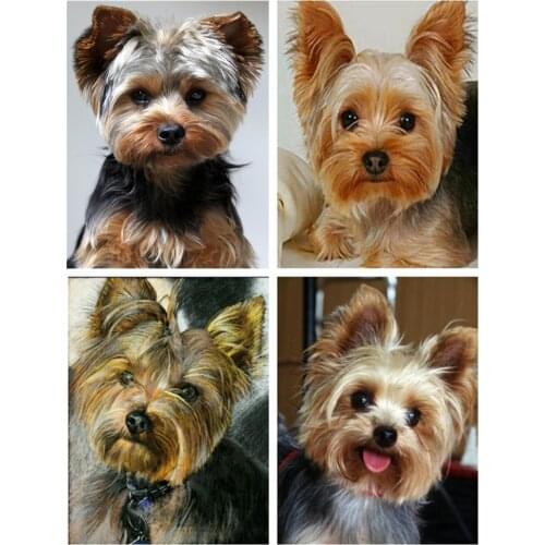 Diamond Painting Full Square/Round Schnauzer Animal Dog Embroidery Handmade Present Home Decoration Gift Mosaic Creative Art