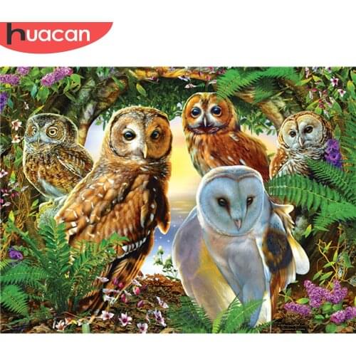 HUACAN 5D DIY Full Square Round Diamond Painting Animal Handicraft Diamond Embroidery Owl Mosaic Cross Stitch Handmade Gift