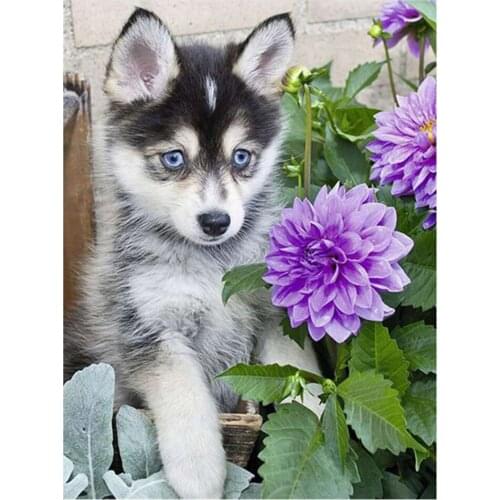 KAMY YI Animal Dog Husky Flower Diamond Painting Cross Stitch Full Diamond 5D Diy Art Craft Mosaic Picture Home Decoration