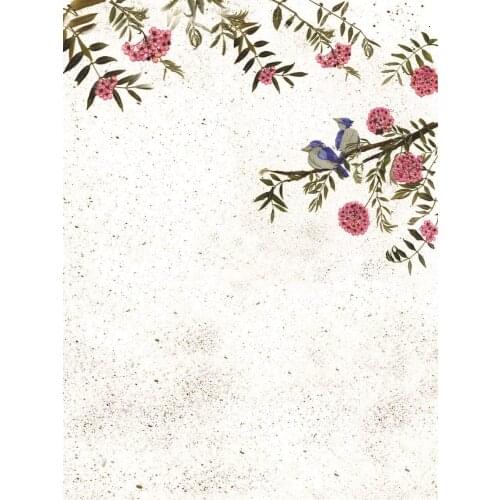 Life Magic Box background for the photo Flowering bird sfondi fotografici baby shower backdrop S-1844