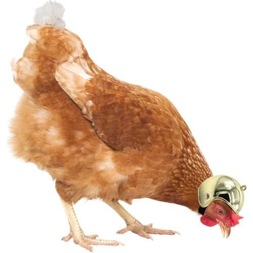 Chicken Helmet Cap Small Pet Mini Protective Gear Helmet Sun Rain Protection Bird Small Headgear Pet Supplies Accessories 1 Pcs