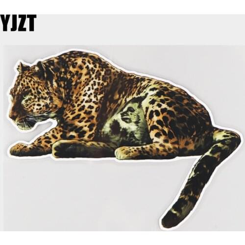 YJZT 20×15.4CM Fierce Leopard Animal Vinyl Decals Funny Cartoon Bumper Decoration Car Stickers 21A-0207