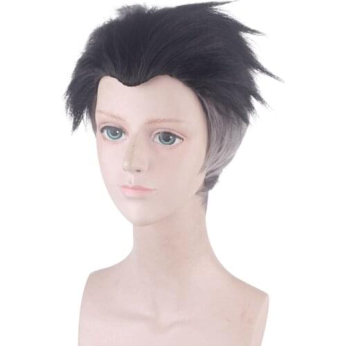 Cos Anime Demon Slayer: Kimetsu No Yaiba Cosplay Himejima Gyoumei Role Playing Wigs Halloween Cosplay Black Gradient Gray Hair