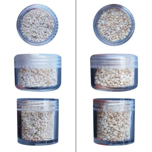 DIY Crystal Epoxy Filling Star Sand Marine Style Handmade Pendant Jewelry Making Filler Accessories