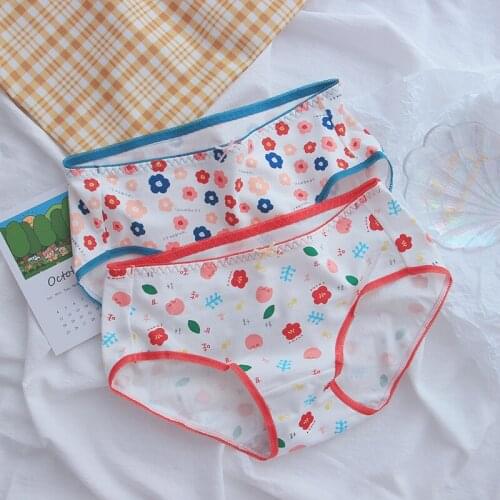 New Briefs Soft High-quality Seamless Quick-drying Panties Women Summer Sexy Lace Panties Transparent Mesh Low Waist