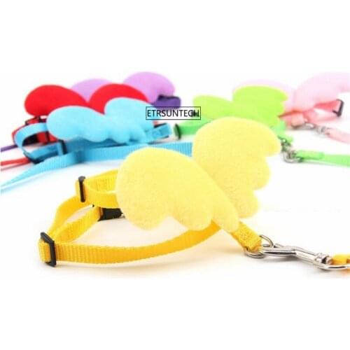 100pcs Pet Angel Walking Traction Rope Puppy Dog Leash Belt Puppy Dog Cat Extending Running Leads Pet Training