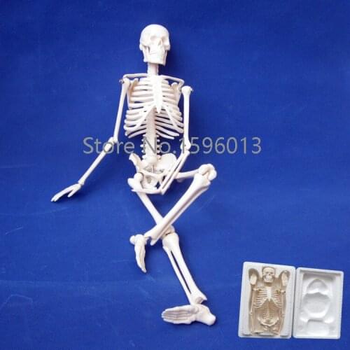 HOT 45CM Mini Skeleton model,human Skeleton Model