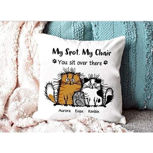 Square Canvas Pillowcase 24 Inch Soft Cushion Cover My Spot My Chair You Sit Over There Pillow Cover, Funny Cat Pillow