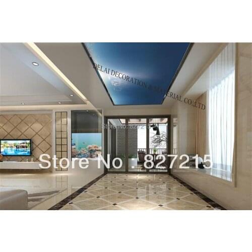 S-6109 /Print Ceiling tiles /PVC Stretched Ceiling Film/Home or Ceiling Decoration/Function as Ceiling Panel