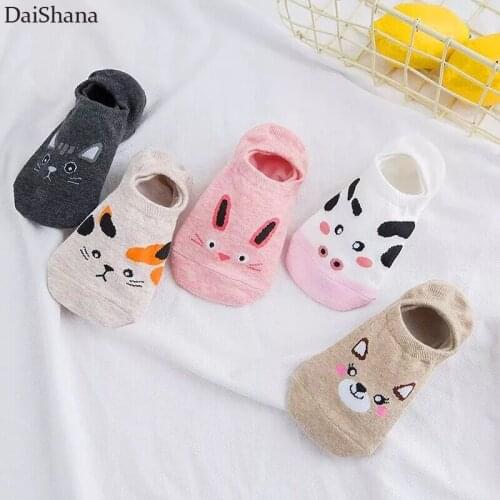 5 Pairs/lot Wholesale Cute Harajuku Animal Sock Women Summer Korean Cat Beer Funny Low Cut Boat Socks Happy Sox Dropship 35-40