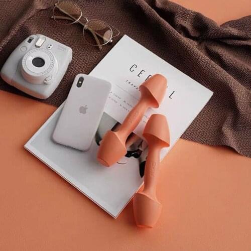 Portable High-Quality Fitness Equipment Yoga Exercise Exquisite Gift Box Set 1LB/2LB/3LB Ladies Dumbbells