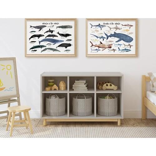 Sharks Of the World Print Ocean Animal Poster Wall Art Canvas Painting Wall Pictures for Living Room Nursery Home Decor No Frame