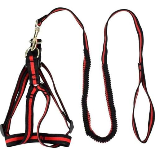 Elasticity Dog Harness for Large Dogs Nylon Retractable Dog Harness Anti Dash Pull Nylon Dog Leashes Lead Length 190cm