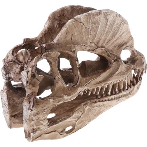 Dilophosaurus Dinosaur Skull Resin Crafts Skeleton Teaching Model Halloween Home Office Decoration 090F